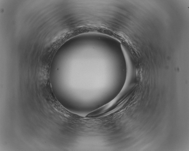 X0000089881110200706281343