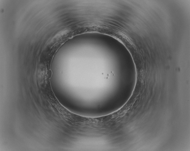 X0000089881111200706281343