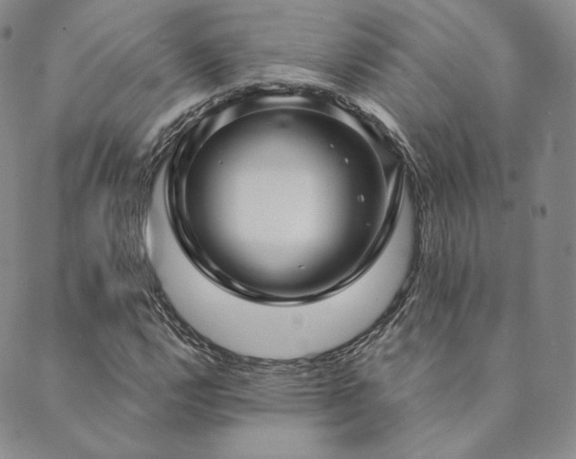 X0000089881112200706281343