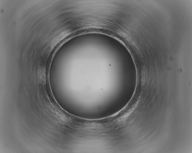 X0000089881113200706281343