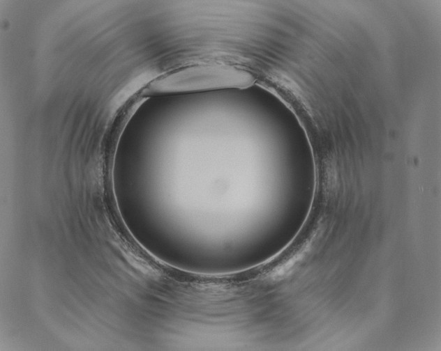 X0000089881114200706281343