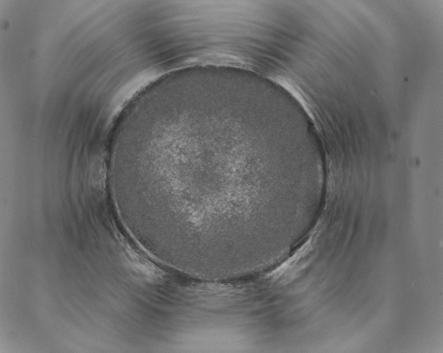 X0000089881115200706281343