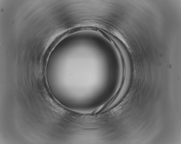 X0000089881116200706281343