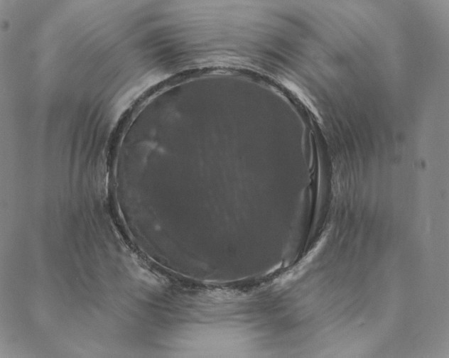 X0000089881117200706281343