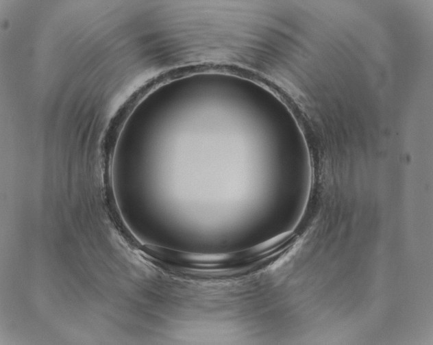 X0000089881118200706281343