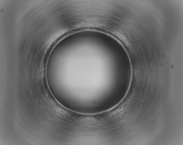 X0000089881119200706281343