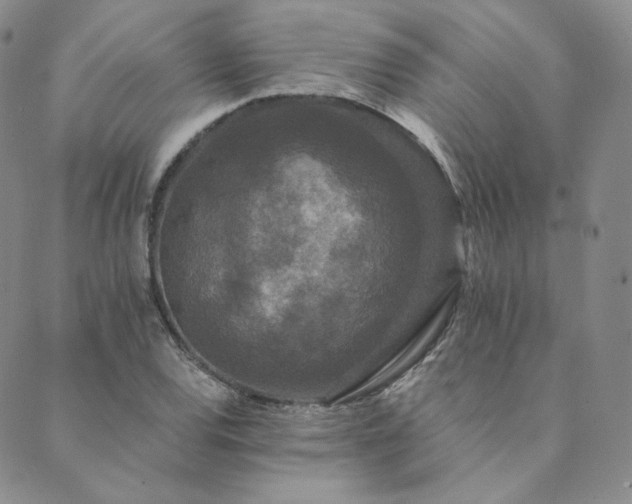 X0000089881120200706281343