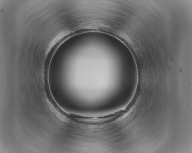 X0000089881122200706281343