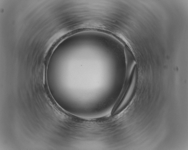 X0000089881123200706281343