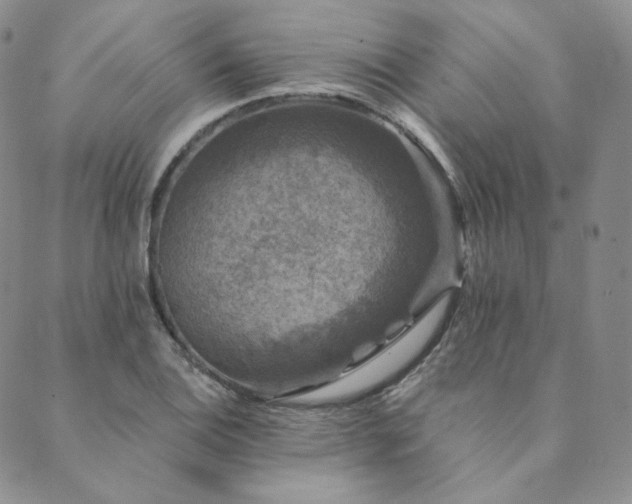 X0000089881124200706281343