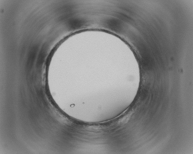 X0000089881126200706281343