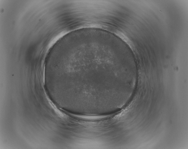 X0000089881127200706281343