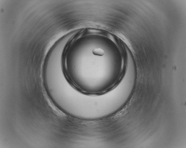 X0000089881128200706281343