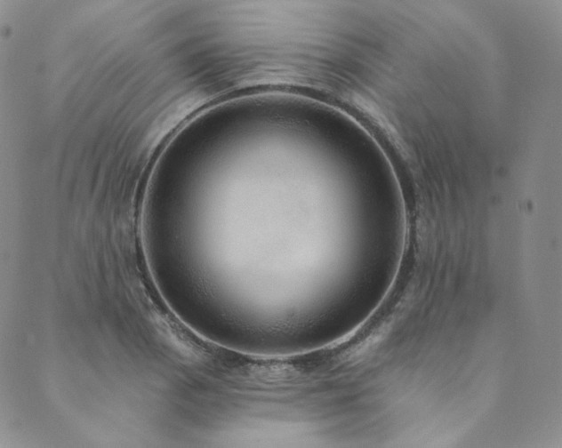 X0000089881129200706281343