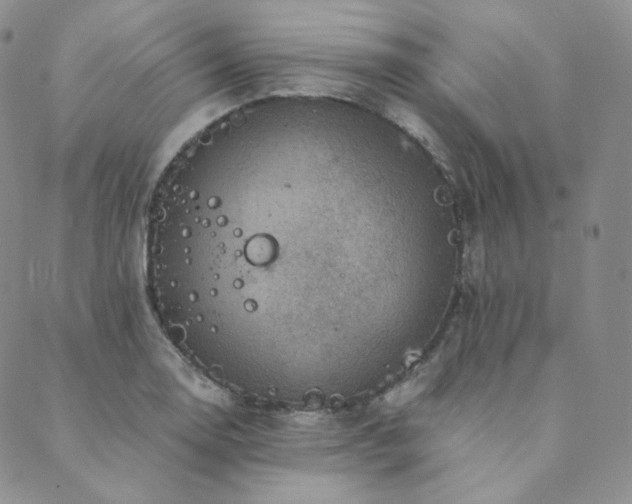 X0000089881130200706281343