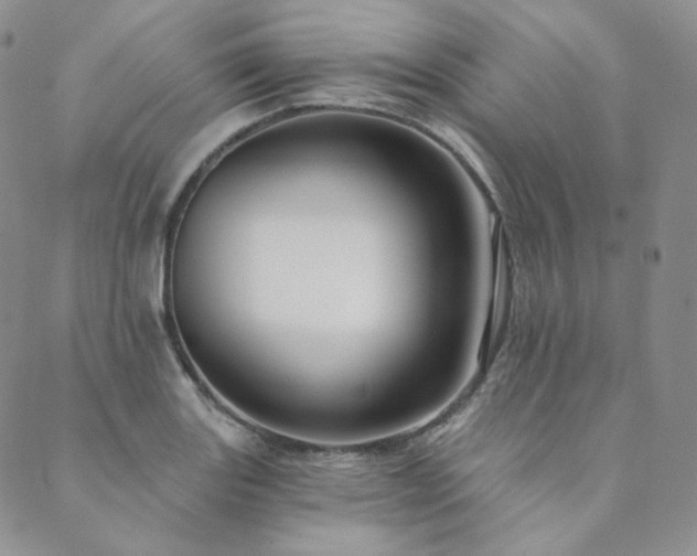 X0000089881131200706281343