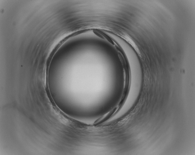 X0000089881132200706281343