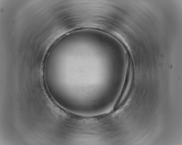 X0000089881133200706281343