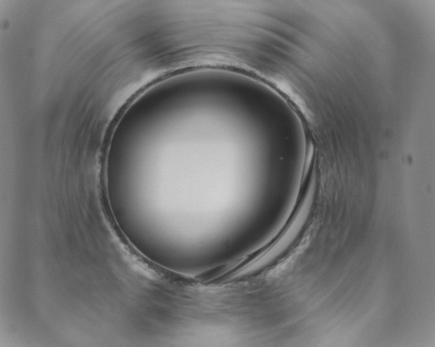 X0000089881134200706281343