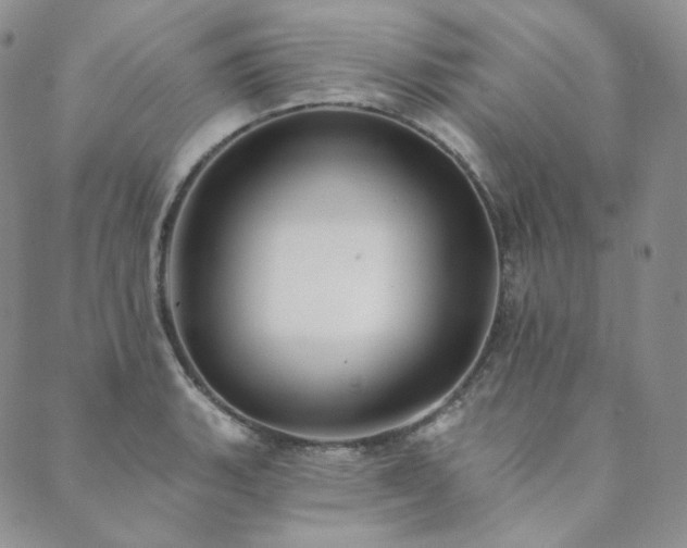 X0000089881135200706281343