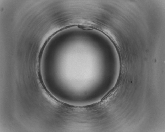 X0000089881136200706281343