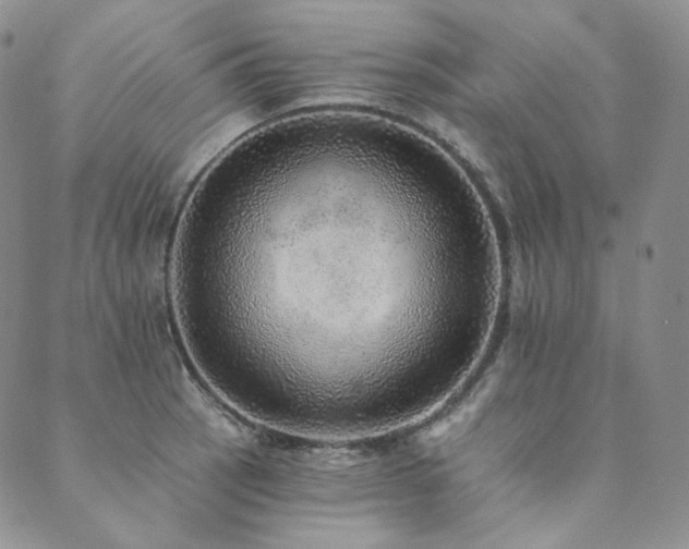 X0000089881137200706281343