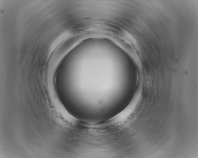 X0000089881138200706281343