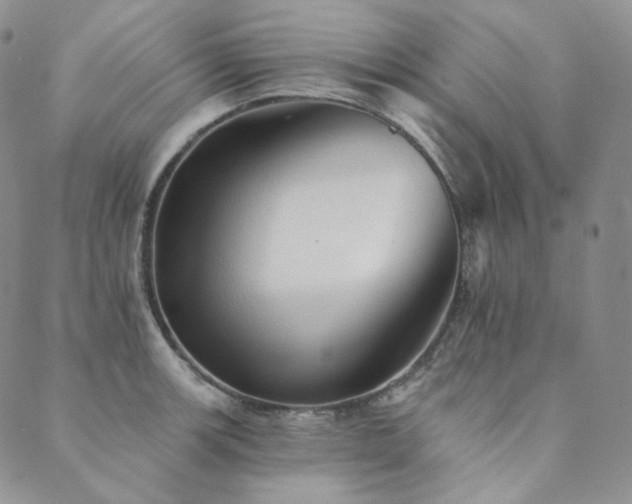 X0000089881139200706281343