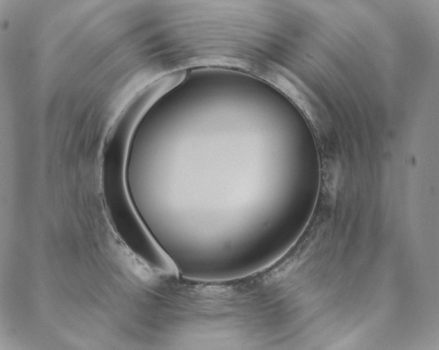 X0000089881140200706281343