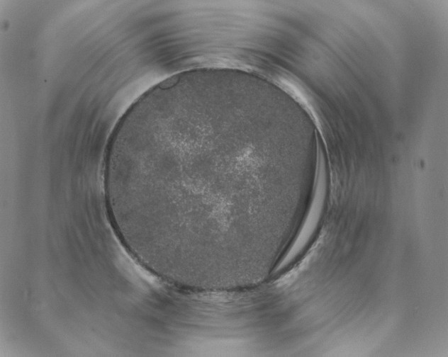 X0000089881141200706281343