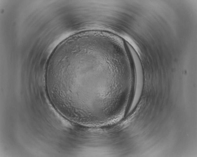 X0000089881142200706281343