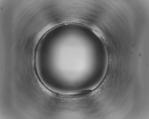 X0000089881143200706281343