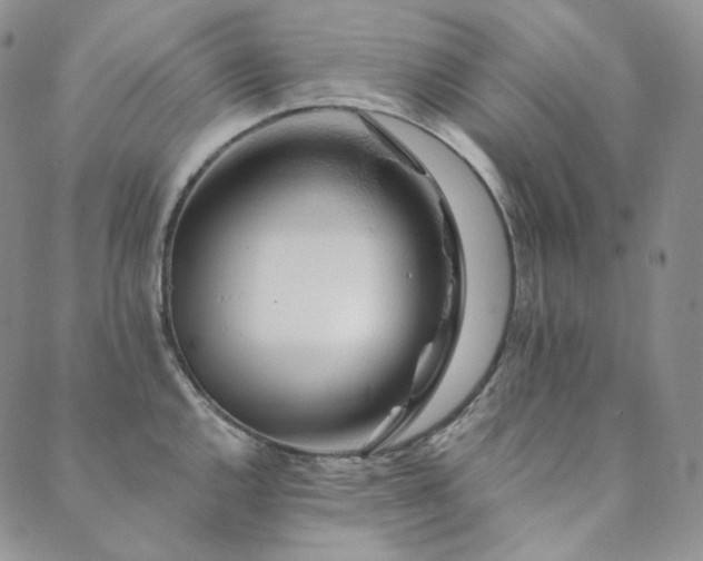 X0000089881144200706281343