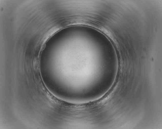 X0000089881145200706281343