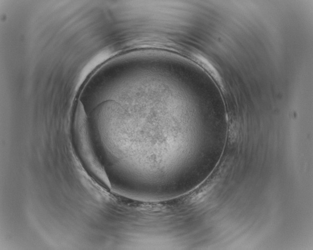 X0000089881146200706281343