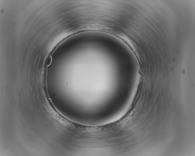 X0000089881147200706281343