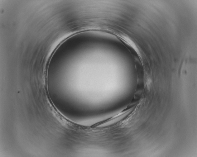 X0000089881148200706281343