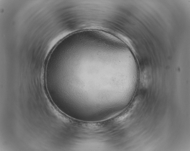 X0000089881149200706281343