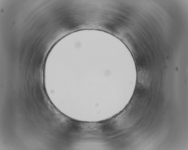 X0000089881150200706281343