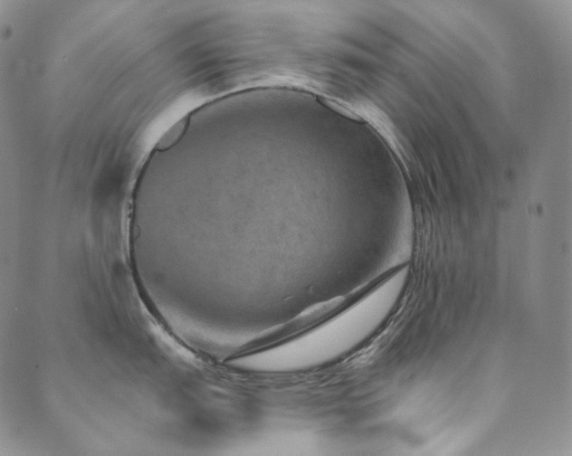 X0000089881151200706281343