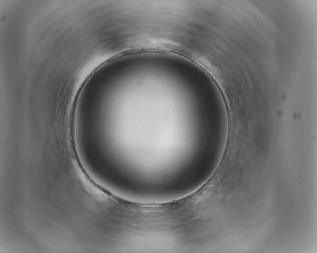 X0000089881152200706281343