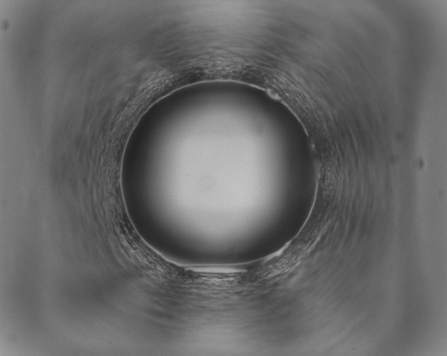 X0000089881153200706281342