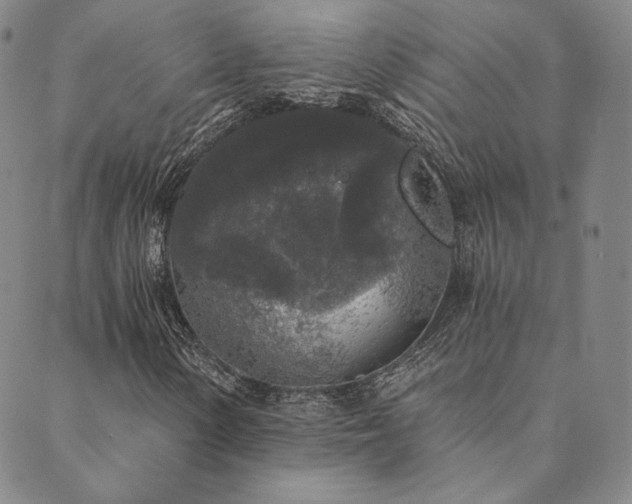 X0000089881154200706281342