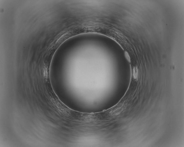 X0000089881155200706281342