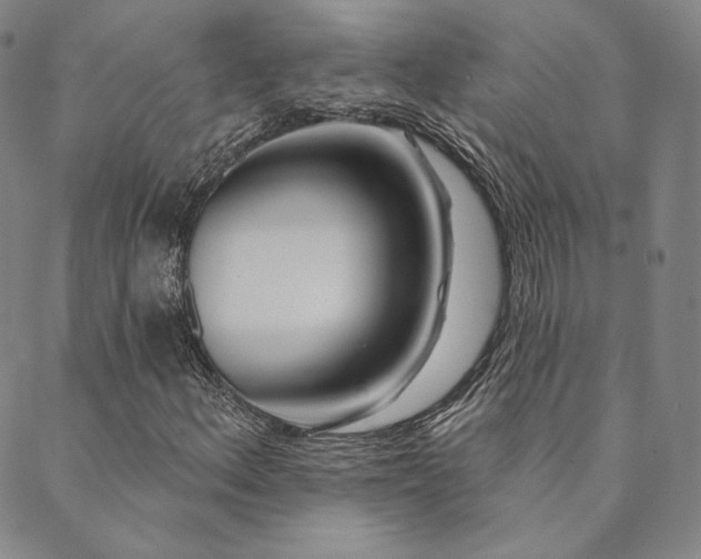 X0000089881156200706281342