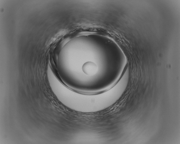 X0000089881157200706281342