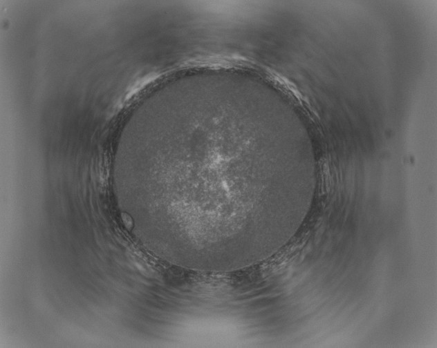 X0000089881158200706281342