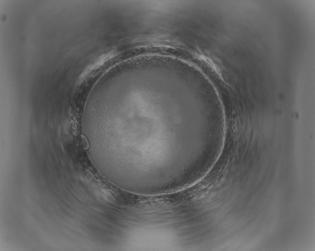 X0000089881159200706281342