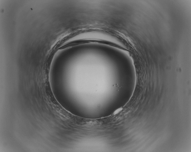 X0000089881160200706281342