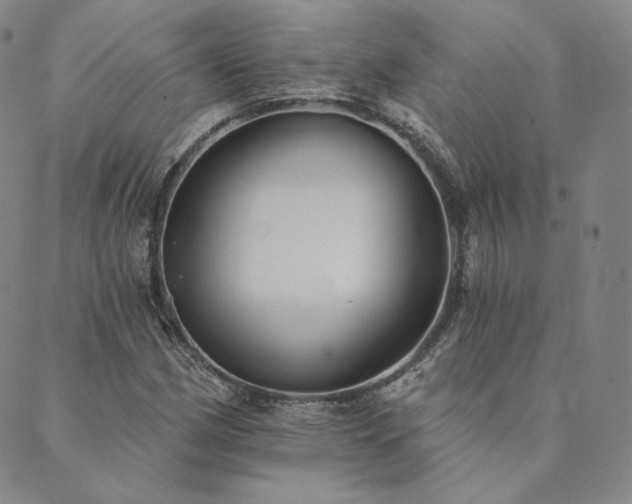 X0000089881162200706281342